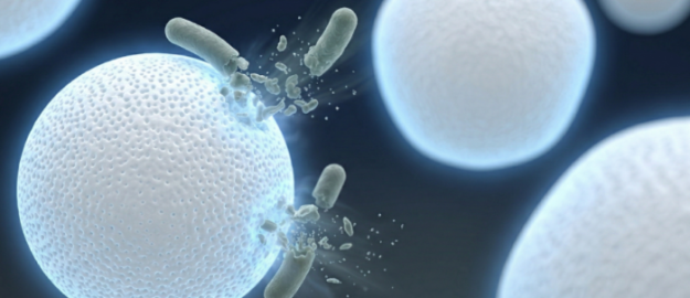 NaPoGlass™ 金屬離子捕捉抗菌材料DM